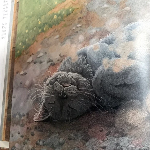 Children’s Book - “CLOUDY” - Picture 7 of 9